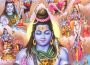Picture of the Week: Lord Shiva’s Life Picture of the Week: Lord Shiva’s Life