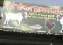 Jhatka, the Forgotten Meat. What is it? Jhatka, the Forgotten Meat. What is it?