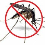 Ayurvedic Repellent to Solve Mosquito Problem?