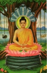 Buddha Meditation