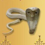 Happy - Shubh Naga Panchami