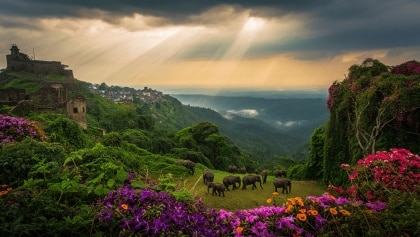 7 reasons why the Western Ghats are more than just a wildlife destination etimes.in / Apr 13, 2026, 17:07 (IST) Beyond its renowned biodiversity, the Western Ghats offer a rich tapestry of experiences. Explore charming hill stations, delve into historical fortresses, witness dramatic monsoon transformations, and embark on thrilling adventures. Discover spiritual sites, savor plantation produce, and marvel at unique seasonal blooms, making this region a multifaceted travel destination.