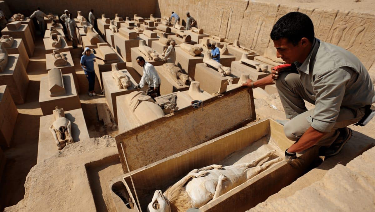 In 1851, a search beneath Saqqara revealed the vast tunnels where Egypt buried sacred Apis bulls TIMESOFINDIA.COM / Jun 18, 2026, 17:19 (IST) Recent discoveries at Saqqara reveal an extensive underground complex, far beyond the Serapeum's Apis bull burials. This vast necropolis housed millions of animal interments, including ibis, indicating a large-scale mortuary system. The findings highlight ancient Egypt's profound devotion to animals and their divine status, with underground spaces becoming crucial for elaborate, long-standing religious rituals.