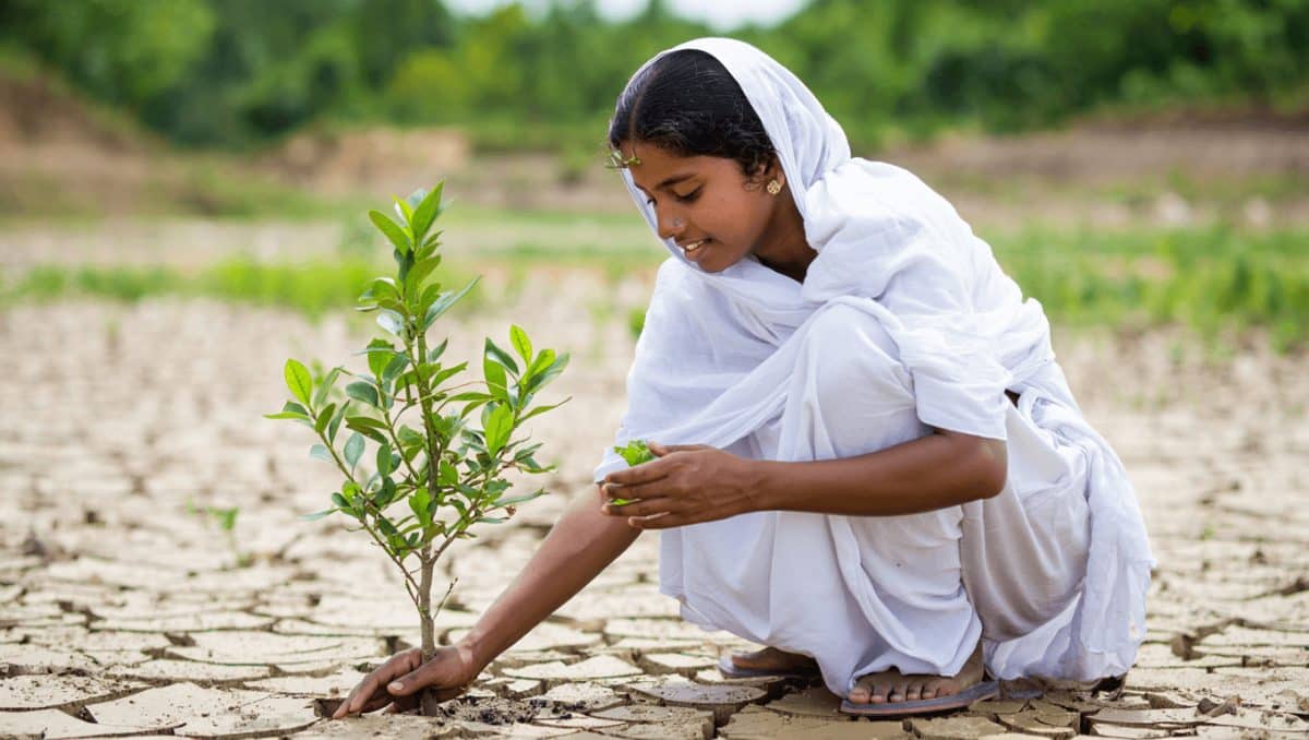 How Hinduism’s relationship with nature can help solve the ecological crisis