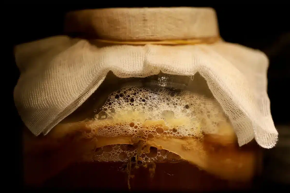 Bioreactor tanks used in cultured meat and precision fermentation production