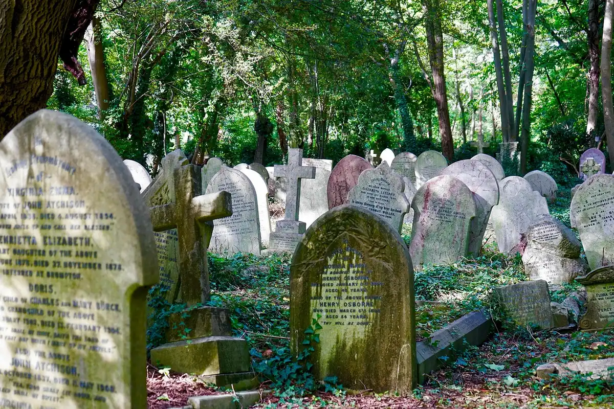 Friedhof mit Bäumen und Pflanzen, in denen Asche beigesetzt wird