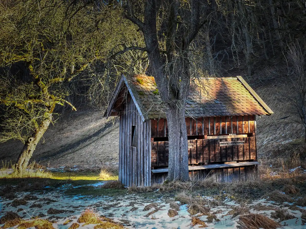 Simple hut and forest path evoking years of solitary practice in the Penusila Forest