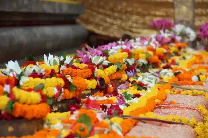Hands arranging clay lamps and marigolds on an earthen altar